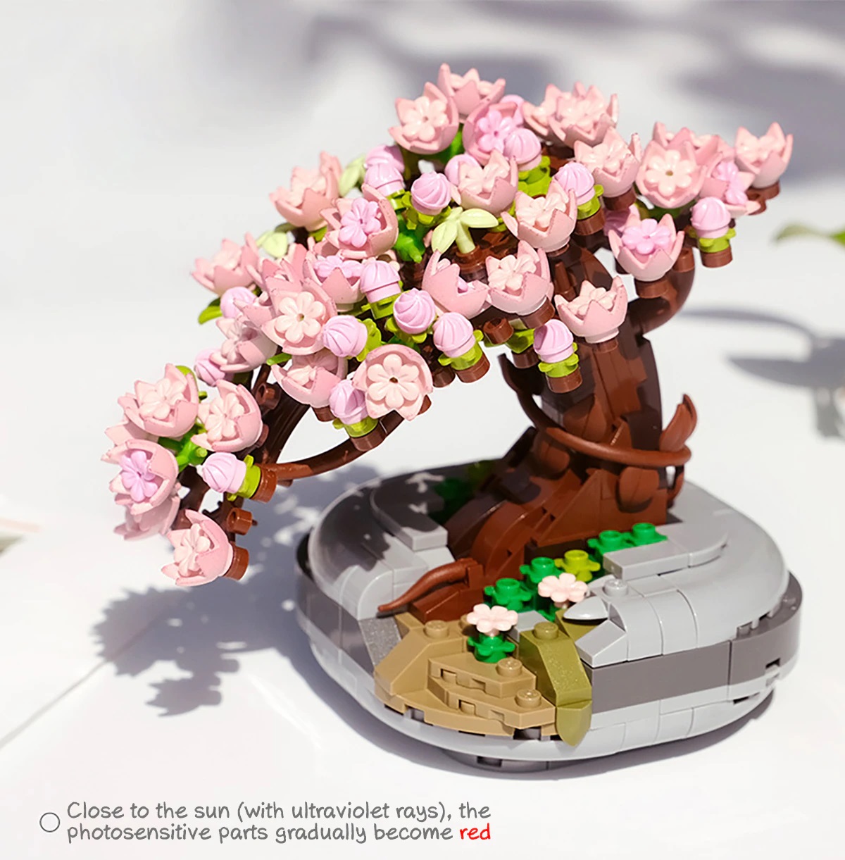 sakura potted plant 3